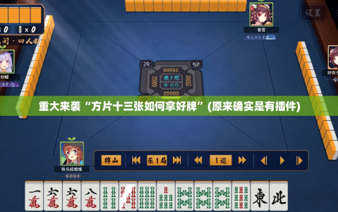 重大来袭“方片十三张如何拿好牌”(原来确实是有插件)