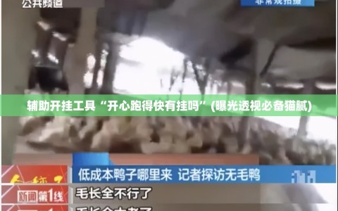 辅助开挂工具“开心跑得快有挂吗”(曝光透视必备猫腻)