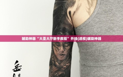 辅助神器“大圣大厅新手教程”开挂(透视)辅助神器