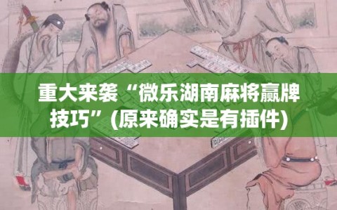 重大来袭“微乐湖南麻将赢牌技巧”(原来确实是有插件)