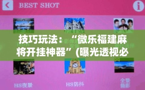 技巧玩法：“微乐福建麻将开挂神器”(曝光透视必备猫腻)