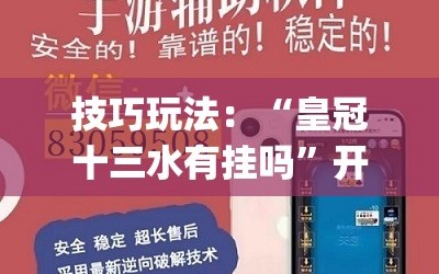 技巧玩法：“皇冠十三水有挂吗”开挂(透视)辅助神器