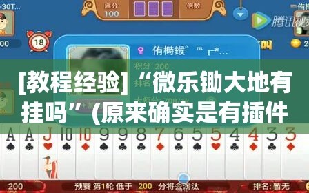 [教程经验]“微乐锄大地有挂吗”(原来确实是有插件)