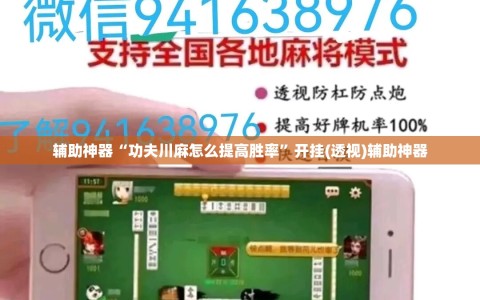 辅助神器“功夫川麻怎么提高胜率”开挂(透视)辅助神器
