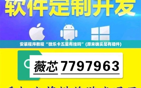 安装程序教程“微乐卡五星有挂吗”(原来确实是有插件)