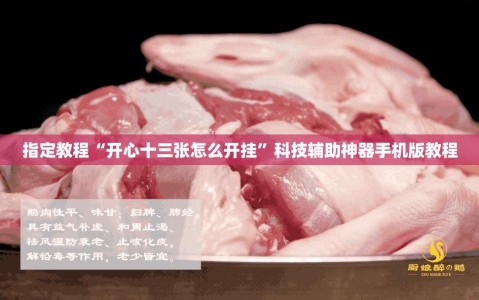 指定教程“开心十三张怎么开挂”科技辅助神器手机版教程
