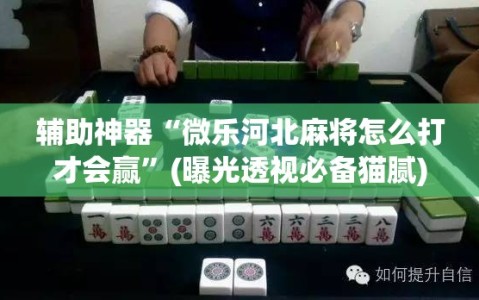 辅助神器“微乐河北麻将怎么打才会赢”(曝光透视必备猫腻)