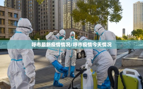 呼市最新疫情情况/呼市疫情今天情况