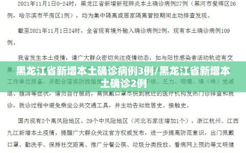 黑龙江省新增本土确诊病例3例/黑龙江省新增本土确诊2例