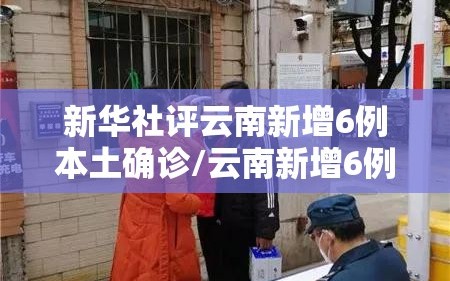 新华社评云南新增6例本土确诊/云南新增6例本土确诊活动轨迹