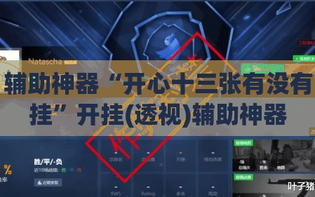 辅助神器“开心十三张有没有挂”开挂(透视)辅助神器