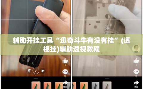 辅助开挂工具“迅奇斗牛有没有挂”(透视挂)辅助透视教程