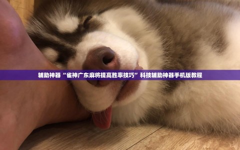 辅助神器“雀神广东麻将提高胜率技巧”科技辅助神器手机版教程