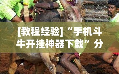[教程经验]“手机斗牛开挂神器下载”分享装挂详细步骤