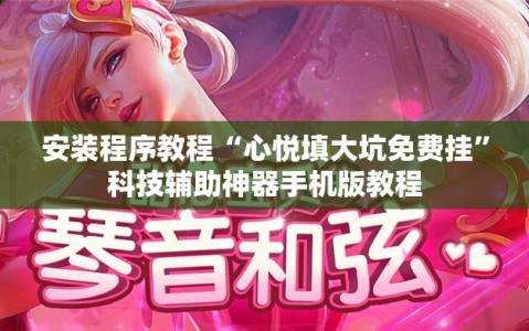 安装程序教程“心悦填大坑免费挂”科技辅助神器手机版教程