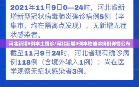 河北新增6例本土确诊/河北新增4例本地确诊病例详情公布