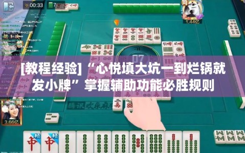 [教程经验]“心悦填大坑一到烂锅就发小牌”掌握辅助功能必胜规则