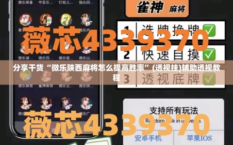 分享干货“微乐陕西麻将怎么提高胜率”(透视挂)辅助透视教程