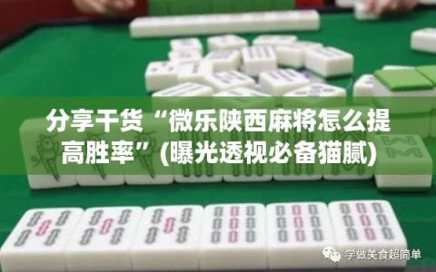 分享干货“微乐陕西麻将怎么提高胜率”(曝光透视必备猫腻)