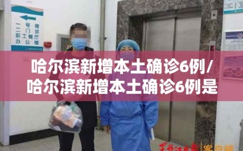 哈尔滨新增本土确诊6例/哈尔滨新增本土确诊6例是哪里的