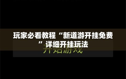 玩家必看教程“新道游开挂免费”详细开挂玩法