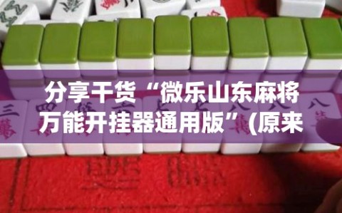 分享干货“微乐山东麻将万能开挂器通用版”(原来确实是有插件)