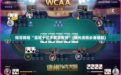指定教程“皇冠十三水有没有挂”(曝光透视必备猫腻)