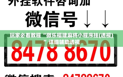 玩家必看教程“微乐福建麻将小程序挂(透视)”详细辅助透视