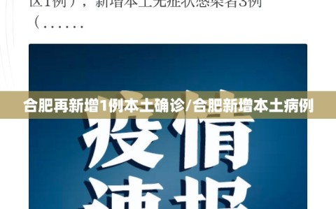 合肥再新增1例本土确诊/合肥新增本土病例