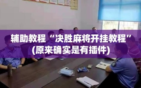 辅助教程“决胜麻将开挂教程”(原来确实是有插件)