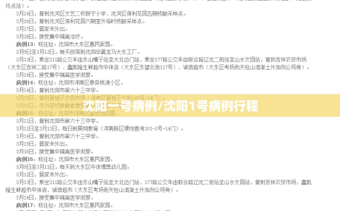 沈阳一号病例/沈阳1号病例行程
