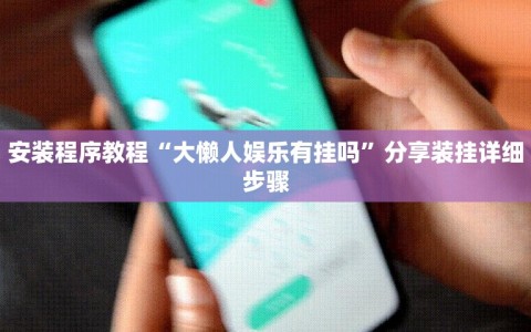 安装程序教程“大懒人娱乐有挂吗”分享装挂详细步骤