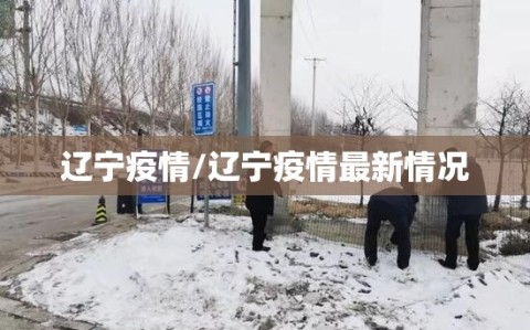 辽宁疫情/辽宁疫情最新情况