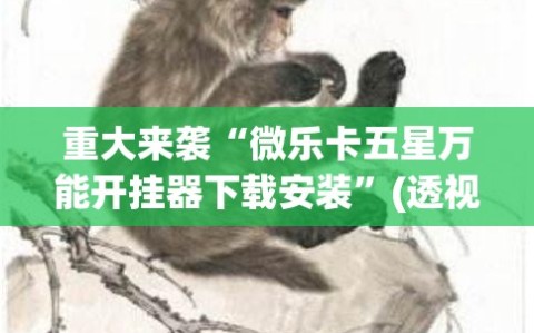 重大来袭“微乐卡五星万能开挂器下载安装”(透视挂)辅助透视教程