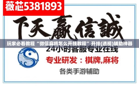 玩家必看教程“微信麻将怎么开挂教程”开挂(透视)辅助神器