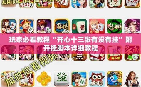 玩家必看教程“开心十三张有没有挂”附开挂脚本详细教程