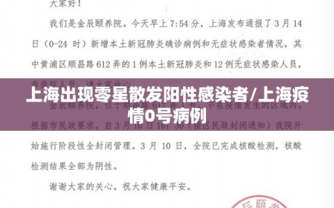 上海出现零星散发阳性感染者/上海疫情0号病例
