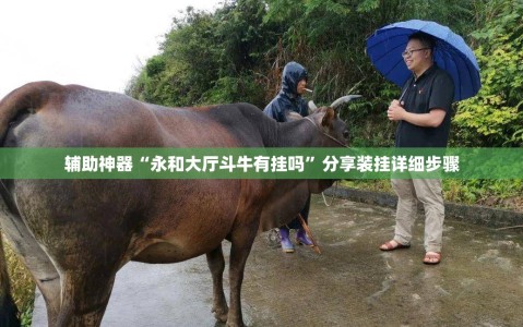 辅助神器“永和大厅斗牛有挂吗”分享装挂详细步骤