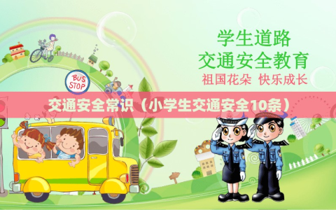 交通安全常识（小学生交通安全10条）