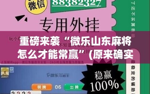 重磅来袭“微乐山东麻将怎么才能常赢”(原来确实是有插件)