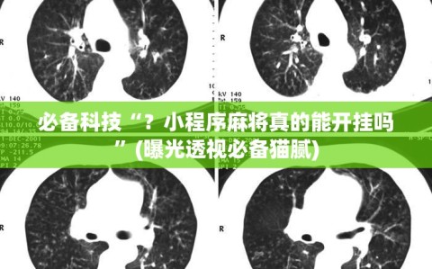 必备科技“？小程序麻将真的能开挂吗”(曝光透视必备猫腻)