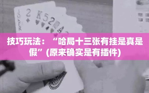 技巧玩法：“哈局十三张有挂是真是假”(原来确实是有插件)