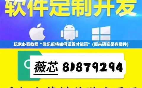 玩家必看教程“微乐麻将如何设置才能赢”(原来确实是有插件)