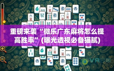 重磅来袭“微乐广东麻将怎么提高胜率”(曝光透视必备猫腻)