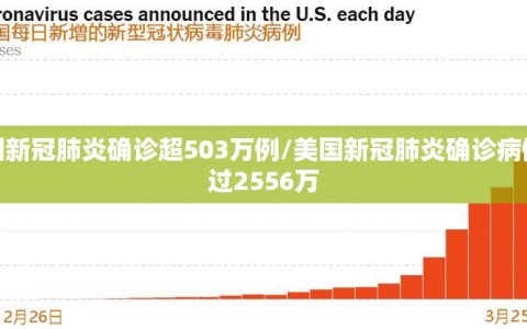 美国新冠肺炎确诊超503万例/美国新冠肺炎确诊病例超过2556万