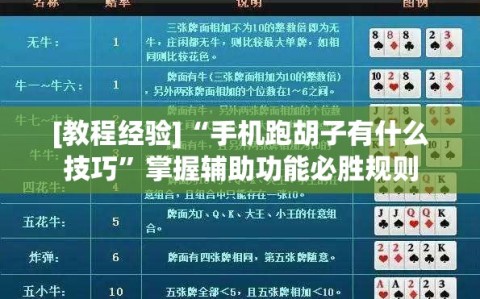 [教程经验]“手机跑胡子有什么技巧”掌握辅助功能必胜规则