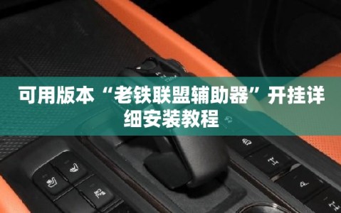 可用版本“老铁联盟辅助器”开挂详细安装教程