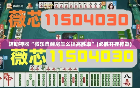 辅助神器“微乐自建房怎么提高胜率”(必胜开挂神器)