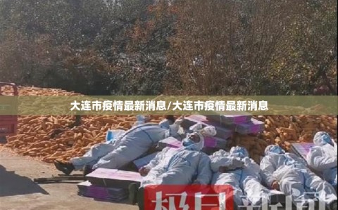 大连市疫情最新消息/大连市疫情最新消息
