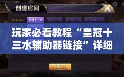 玩家必看教程“皇冠十三水辅助器链接”详细开挂玩法